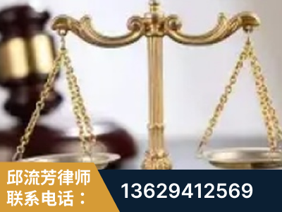 安陆-委托诉讼代理人出庭